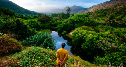 El Concepto Del Estoicismo: Una Guía Para Vivir En Armonía Con La Naturaleza