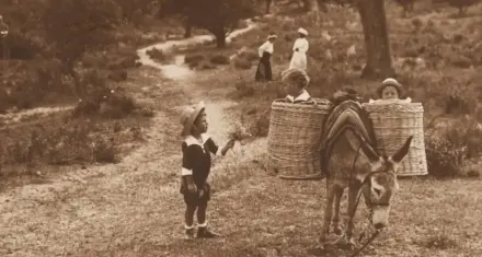 Explorando La Filosofía Epicúrea: Una Mirada Al Estoicismo