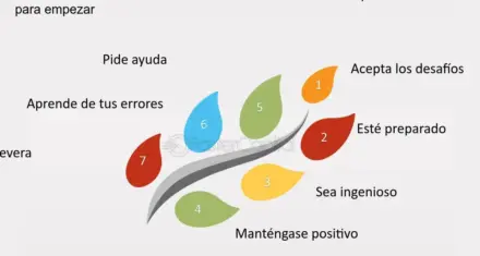 Descubre El Estoicismo: Una Filosofía Para Enfrentar Los Desafíos De La Vida