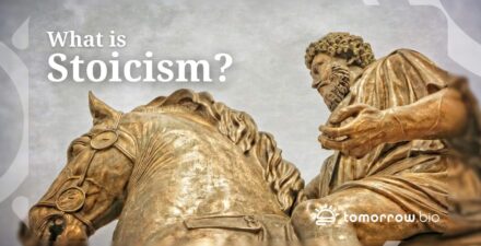 Explorando El Legado Del Estoicismo Greco-romano: Lecciones Atemporales Para La Vida Moderna