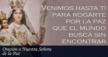 Descubre Cómo Dominar El Estilo De Vida Estoico Y Encontrar La Paz Interior