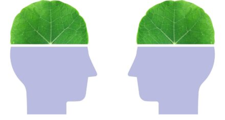 El Enfrentamiento Filosófico: Estoicismo Vs Nihilismo