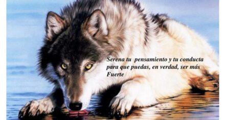 El Estoicismo: Una Filosofía Que Representa La Fortaleza Y La Serenidad En Tiempos Difíciles