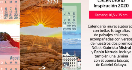 Frases De Estoicismo Sobre La Vida: Encuentra Inspiración Y Sabiduría En El Camino Del Estoicismo