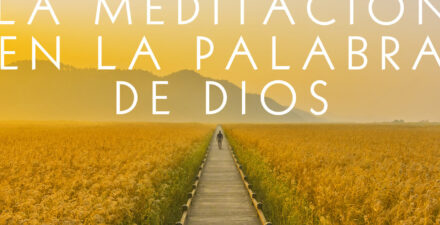 Las Meditaciones: Una Herramienta Poderosa En El Camino Del Estoicismo