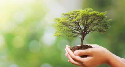 Explorando La Conexión Entre El Estoicismo Y La Naturaleza: 10 Frases Inspiradoras Para Vivir Una Vida Más Plena