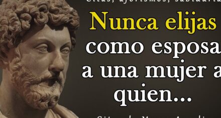 El Legado Del Estoicismo En El Libro De Marco Aurelio: Una Guía Para La Vida